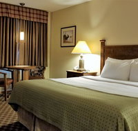 Top Notch Inn - Accommodation Seattle