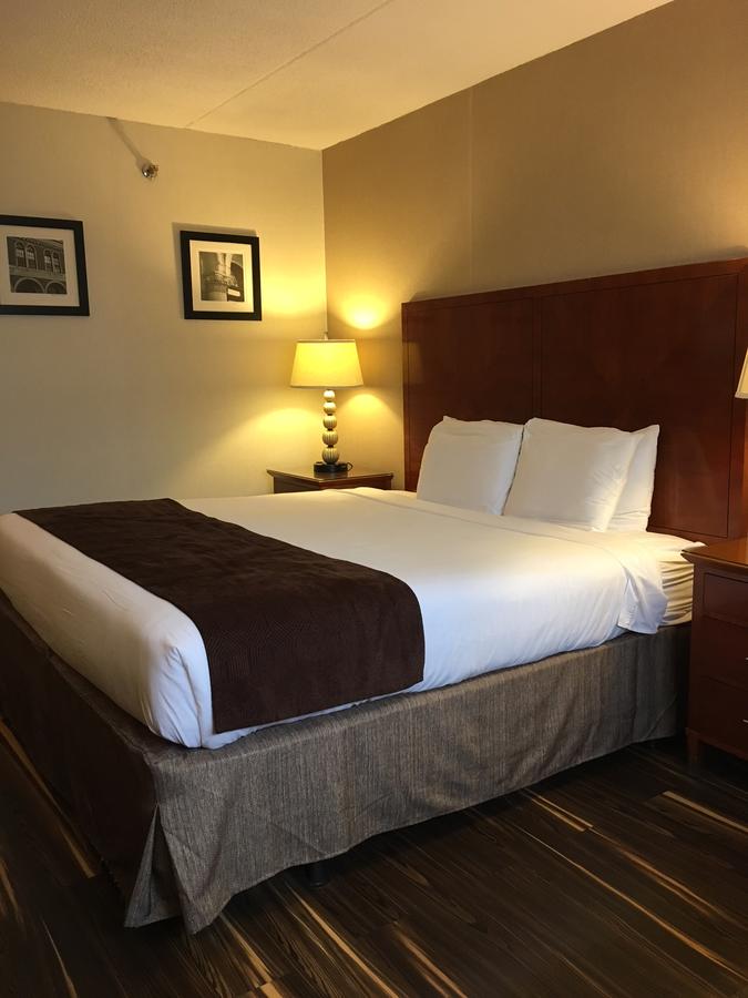 Floral Park Motor Lodge - thumb 7