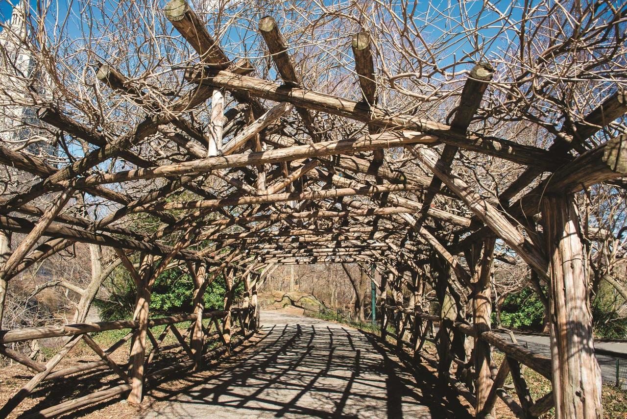 La Quinta By Wyndham New York City Central Park - thumb 29