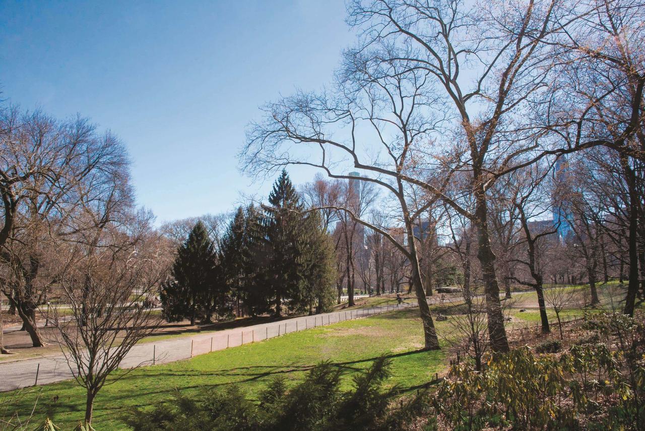 La Quinta By Wyndham New York City Central Park - thumb 8