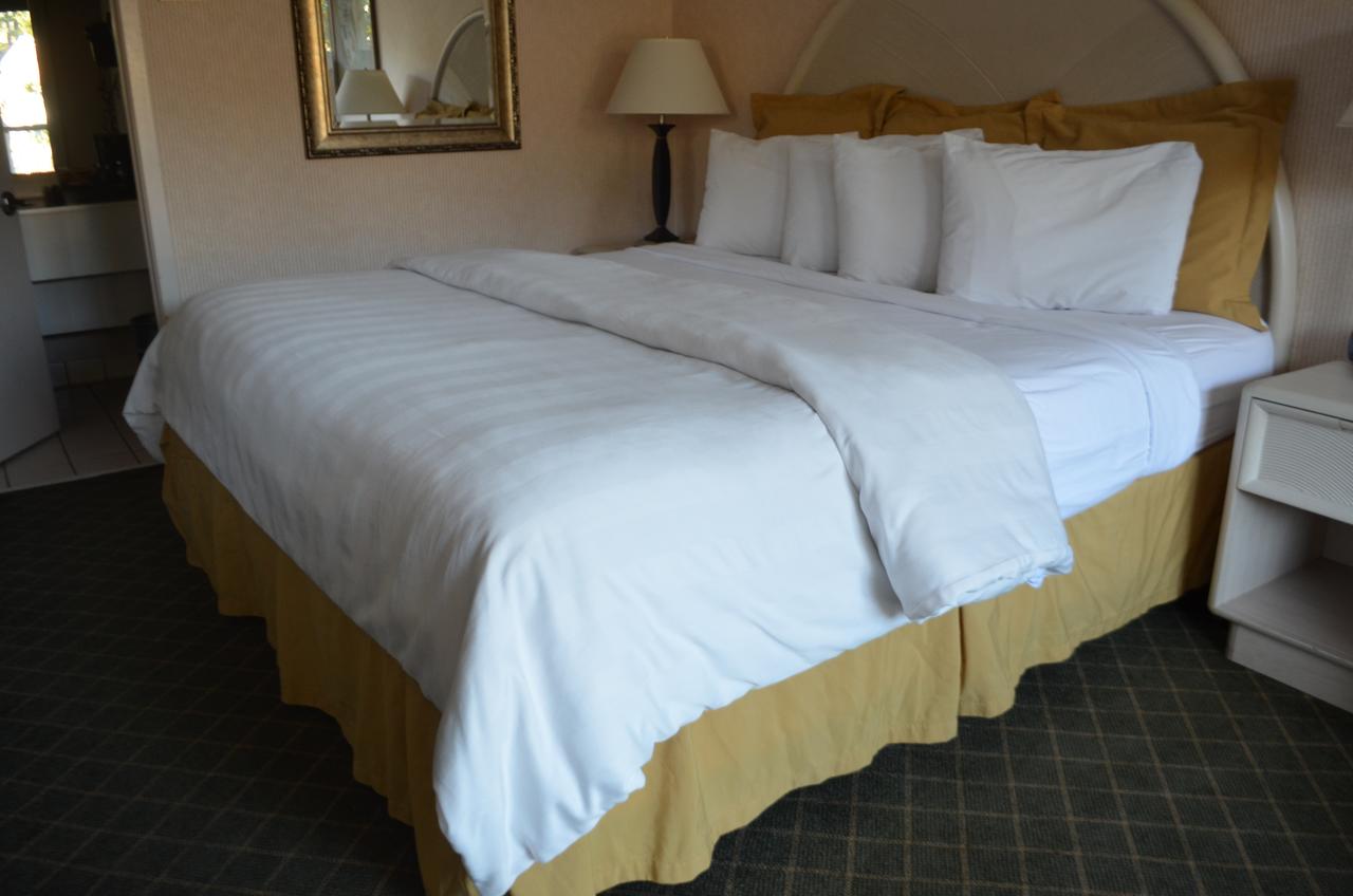 Chapel Hill University Inn - thumb 0