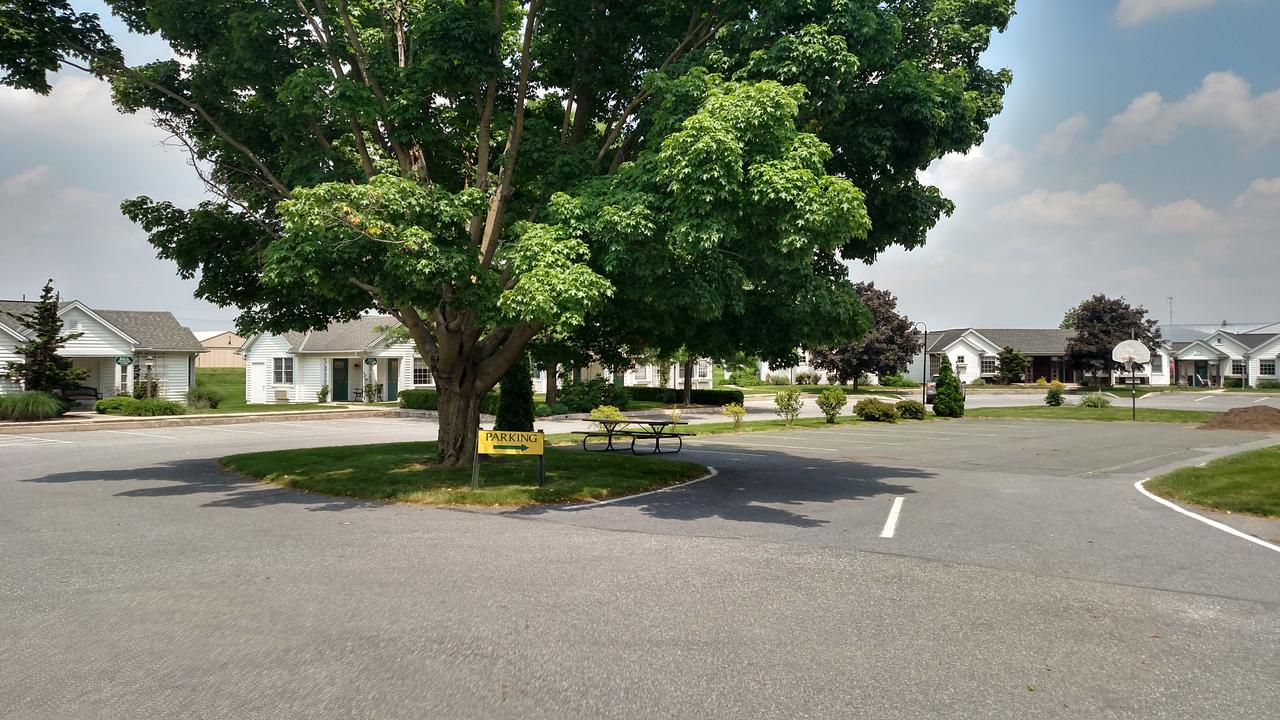 Spruce Lane Lodge And Cottages - thumb 39