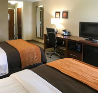 Comfort Inn Clemson - University Area - Accommodation Seattle