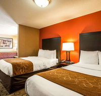 Comfort Suites At WestGate Mall - Accommodation Seattle