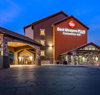 Best Western Plus Cotton Tree Inn - Accommodation Seattle
