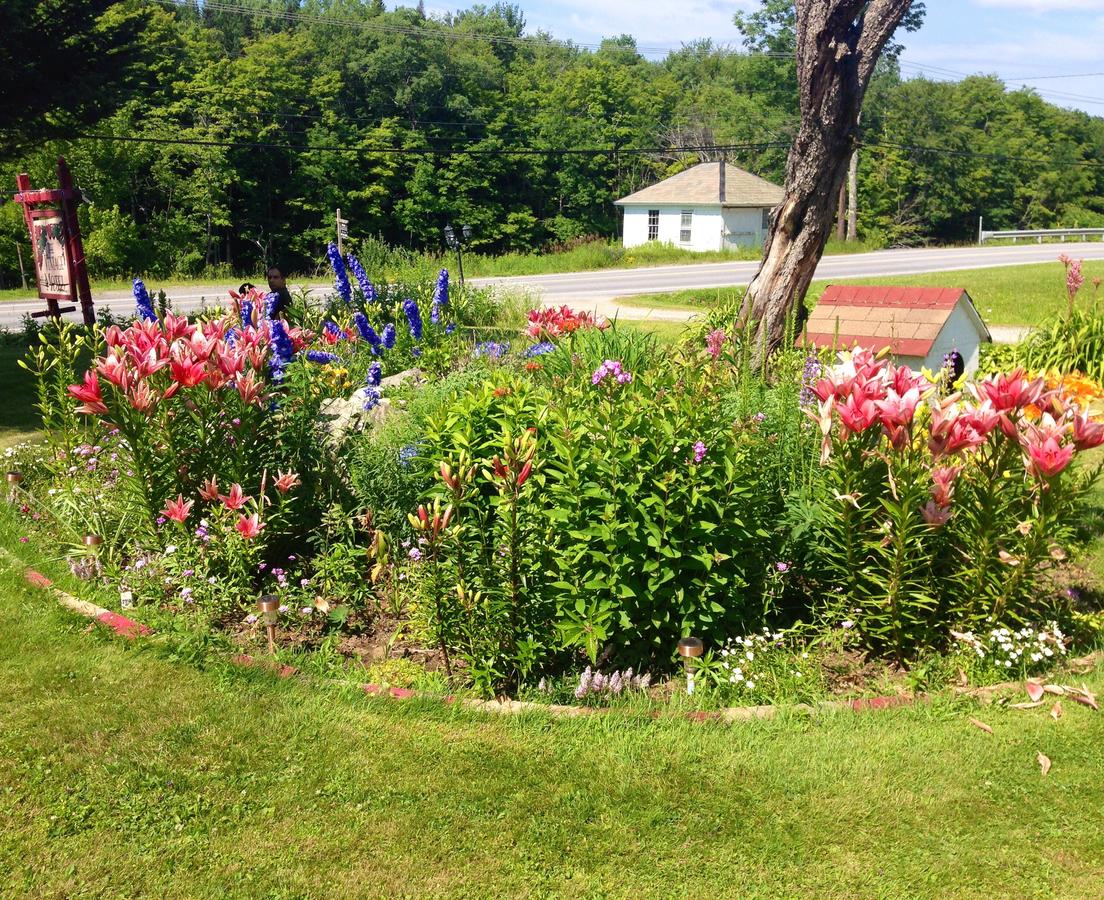 Vintage Motel Wilmington - thumb 35