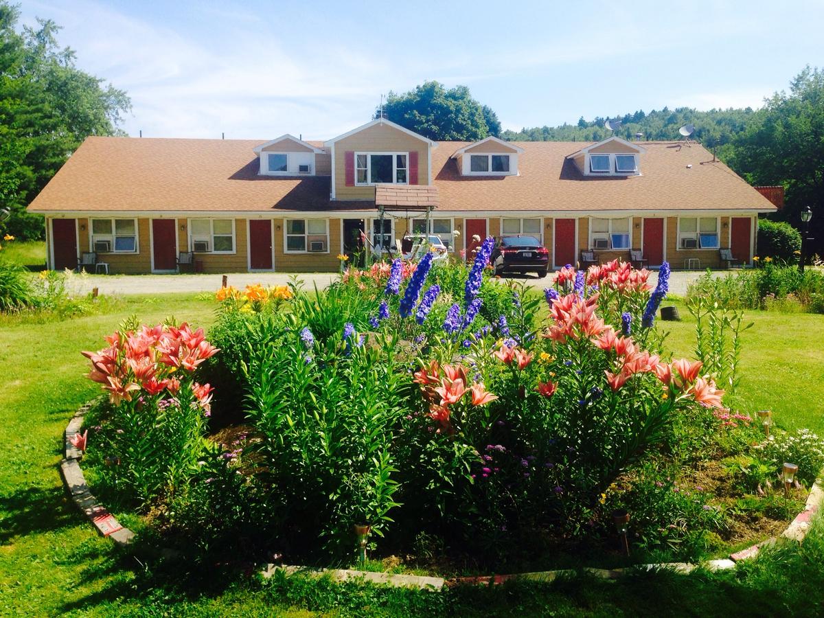 Vintage Motel Wilmington - thumb 36