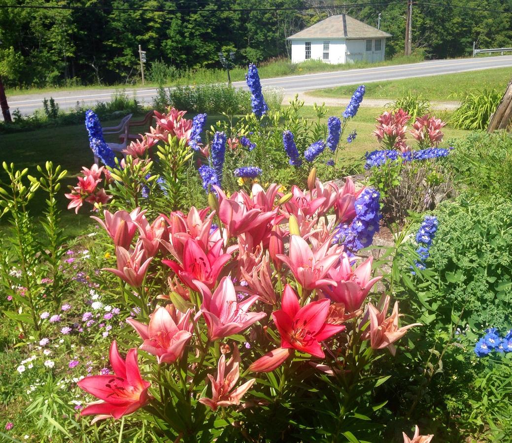 Vintage Motel Wilmington - thumb 29