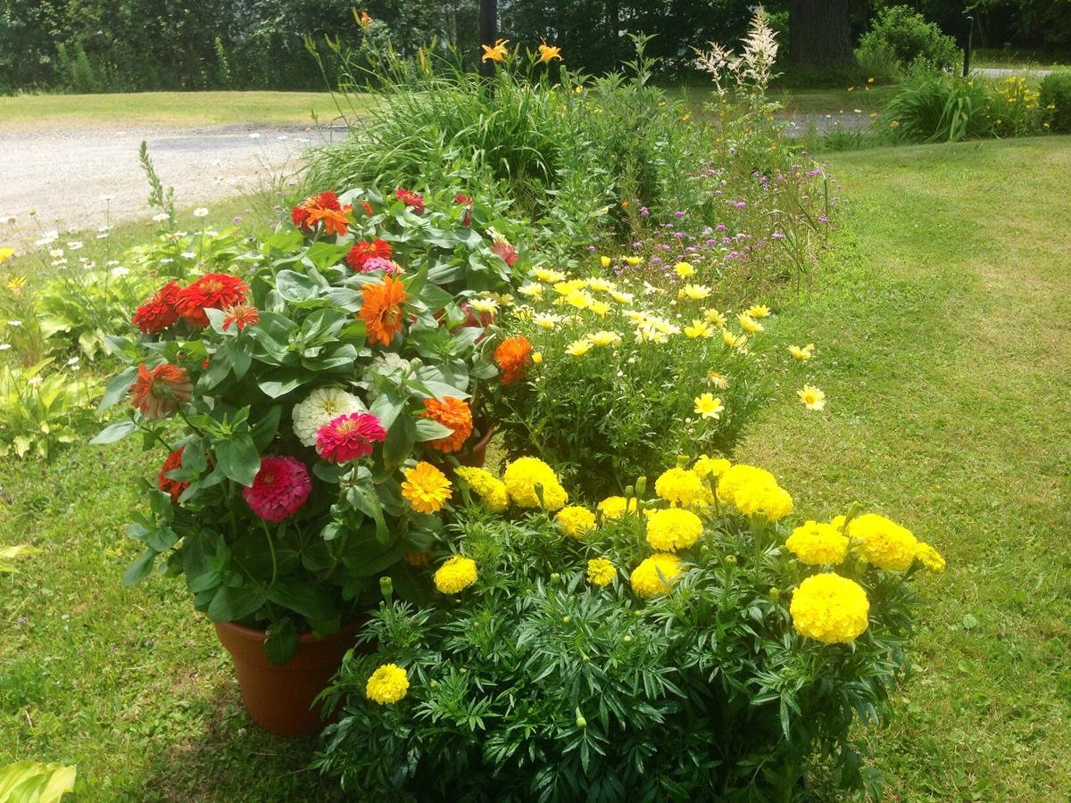 Vintage Motel Wilmington - thumb 19