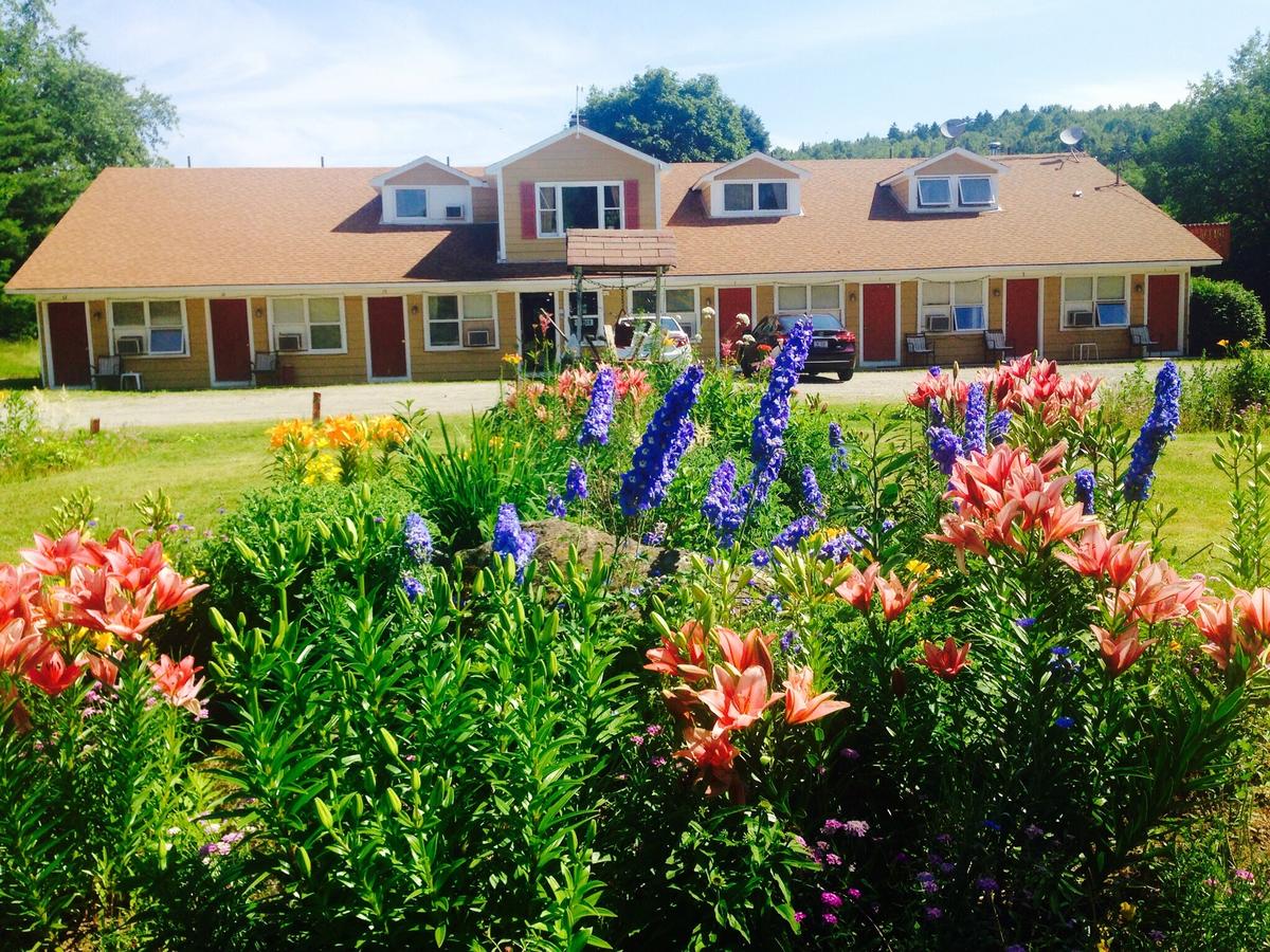 Vintage Motel Wilmington - thumb 27