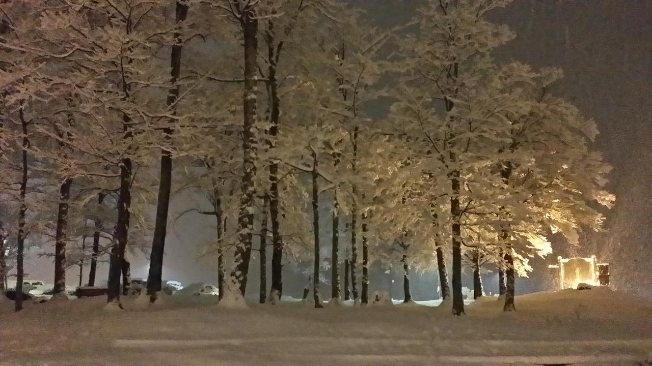 Cascades Lodge - thumb 16