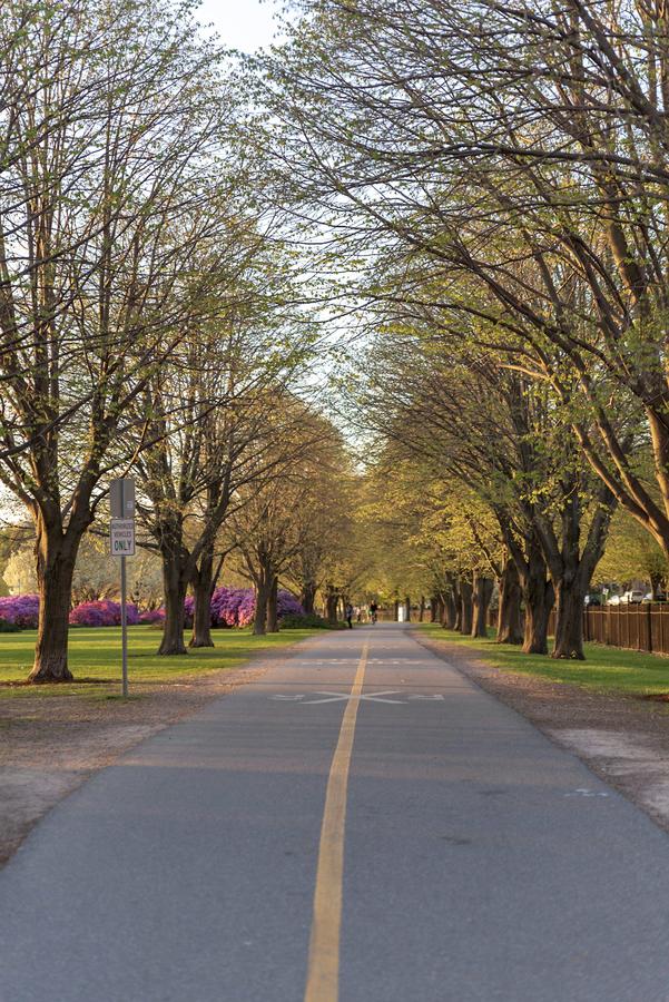 DoubleTree By Hilton Hotel Burlington Vermont - thumb 24