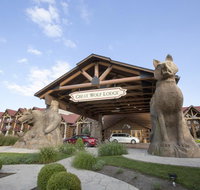 Great Wolf Lodge Williamsburg - Accommodation Seattle