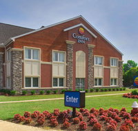 Comfort Inn Williamsburg Gateway - Accommodation Seattle