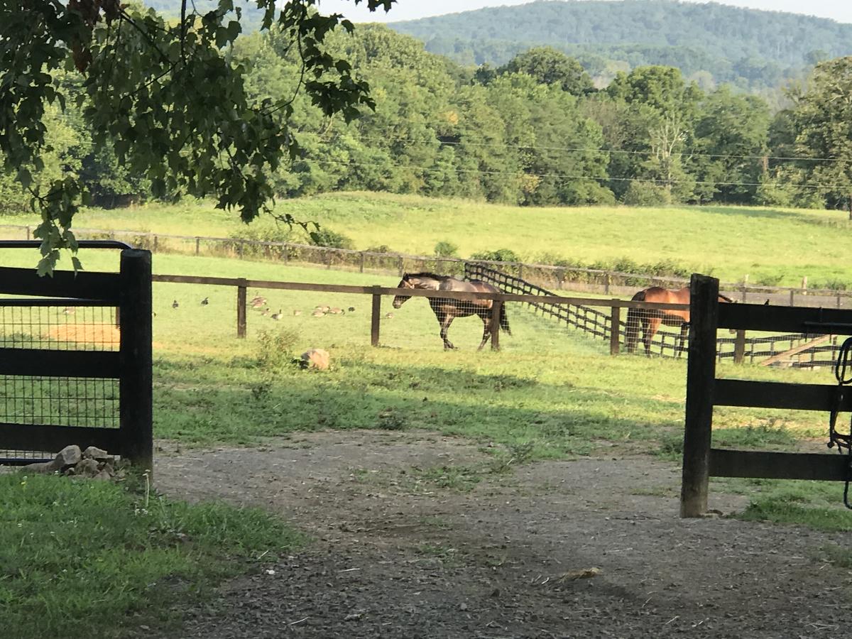 The House Above The Barn - thumb 11