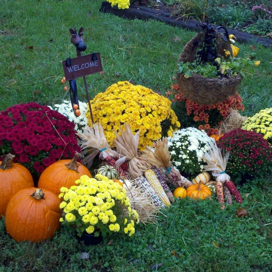 The House Above The Barn - thumb 18