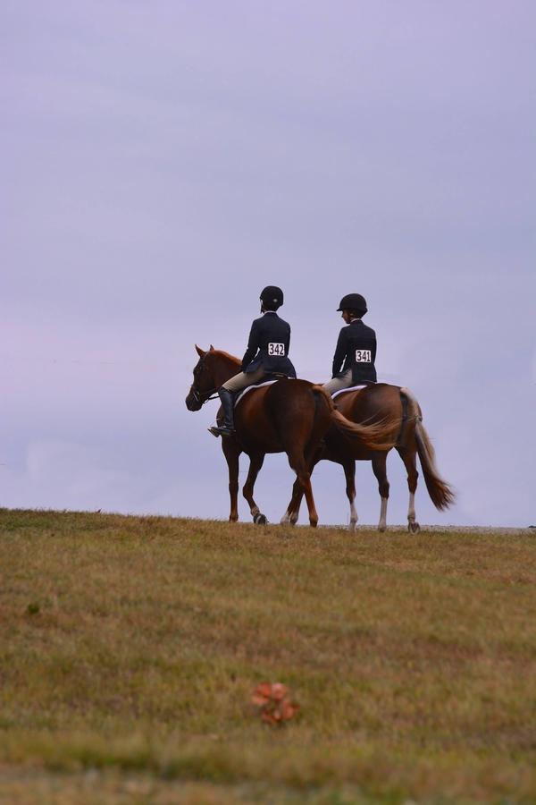 The House Above The Barn - thumb 12