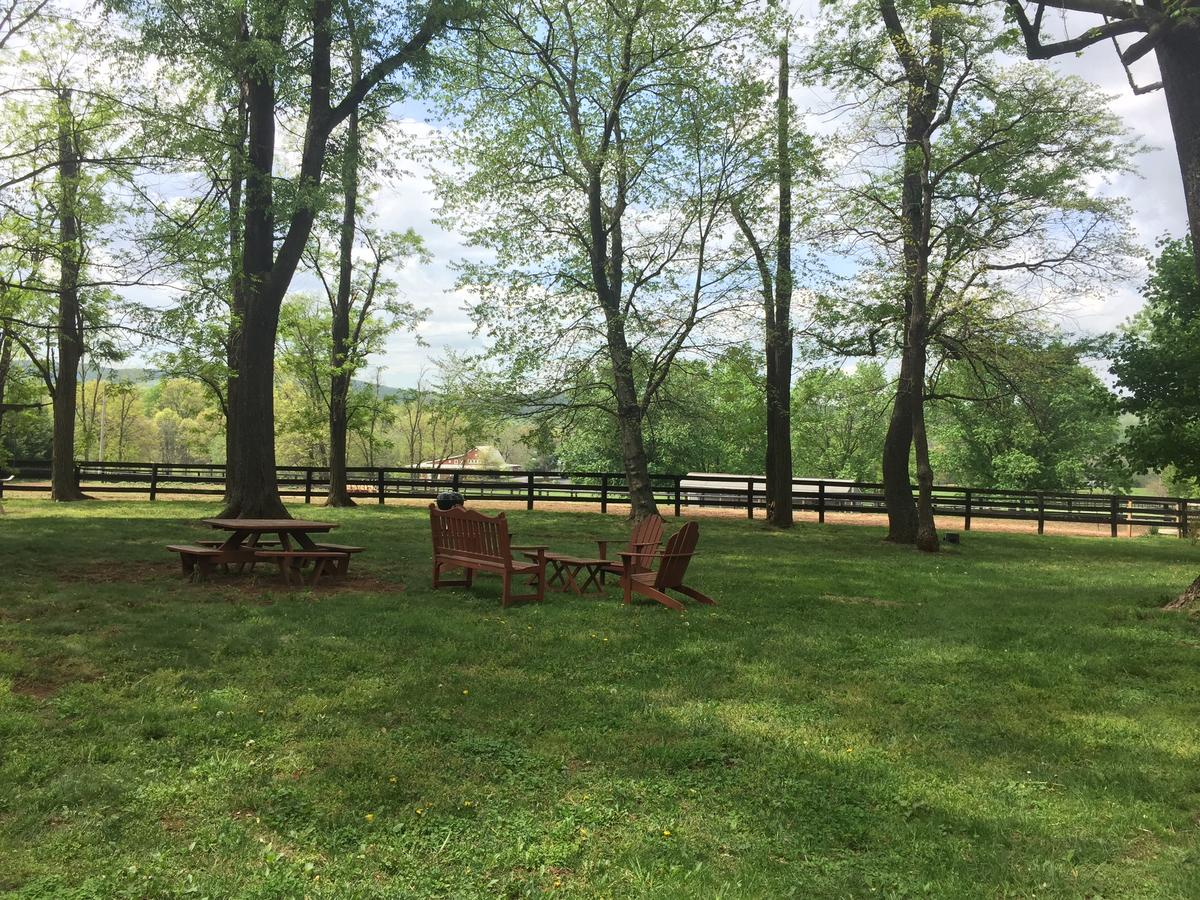 The House Above The Barn - thumb 4