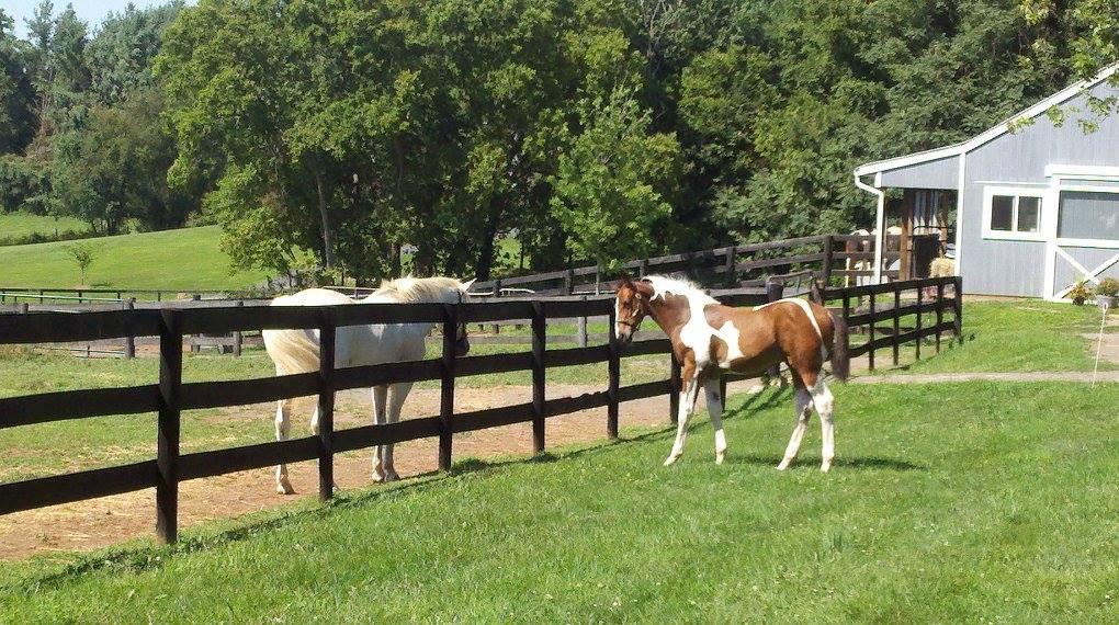 The House Above The Barn - thumb 5