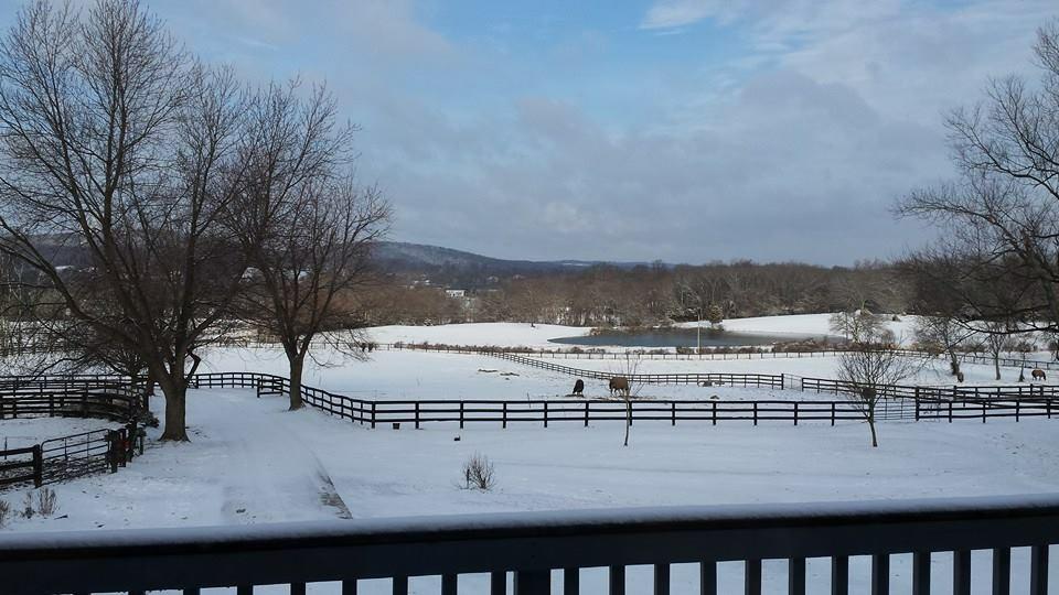 The House Above The Barn - thumb 9