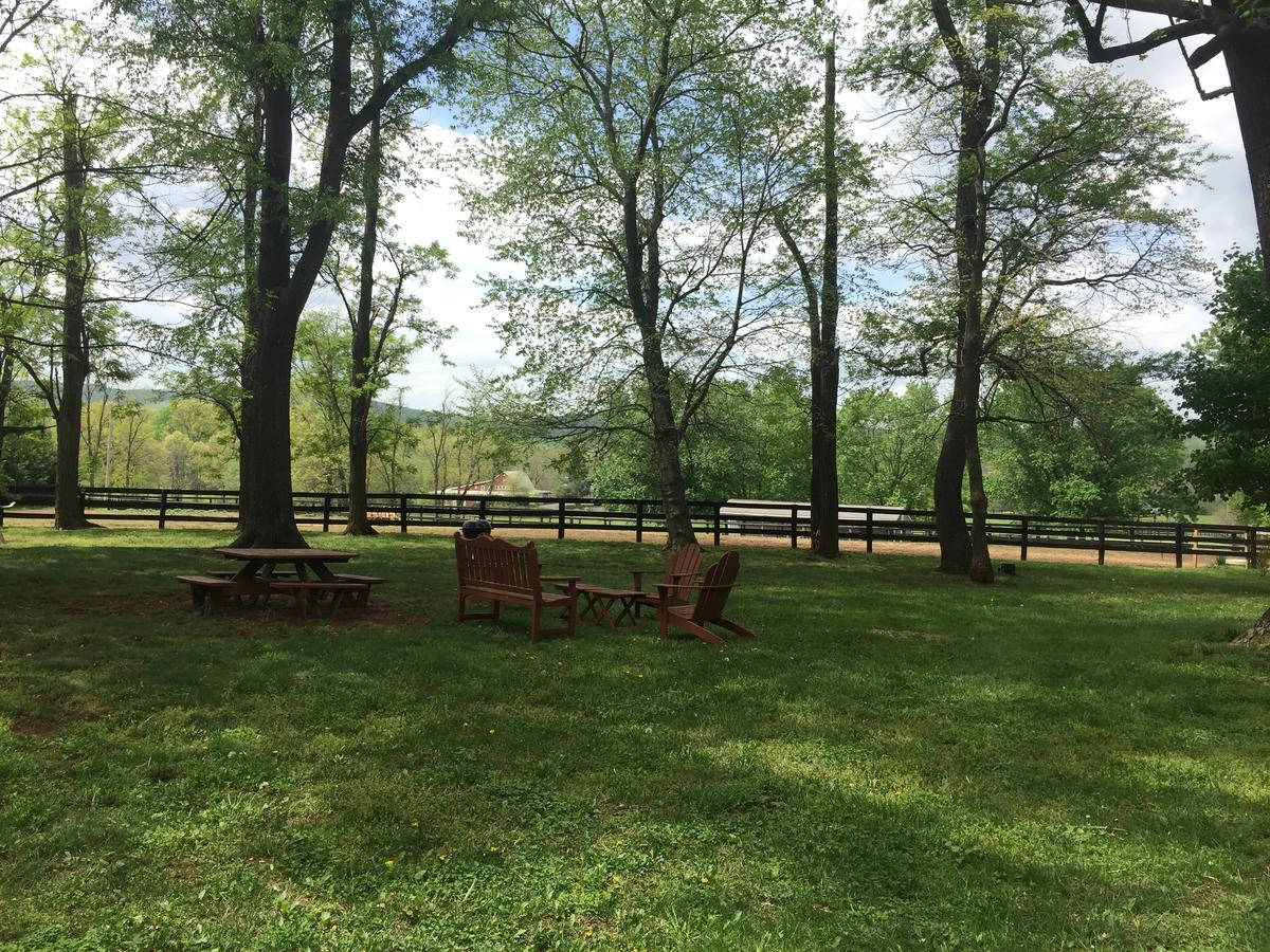 The House Above The Barn - thumb 22