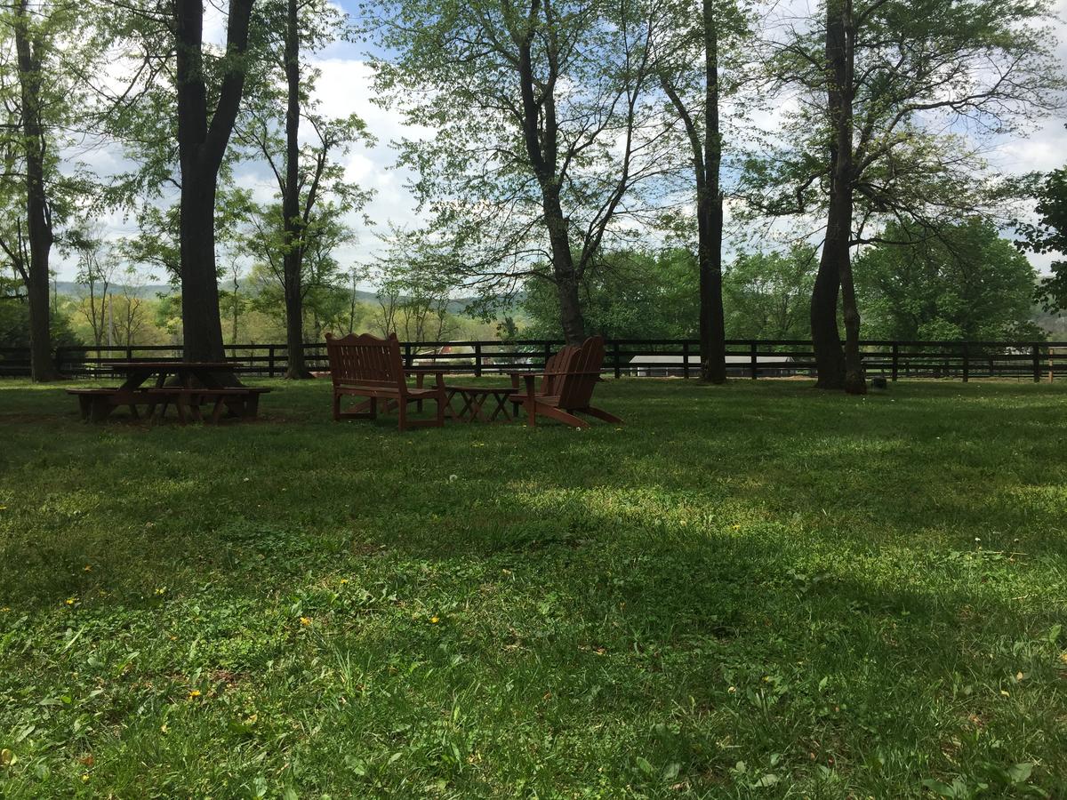 The House Above The Barn - thumb 16