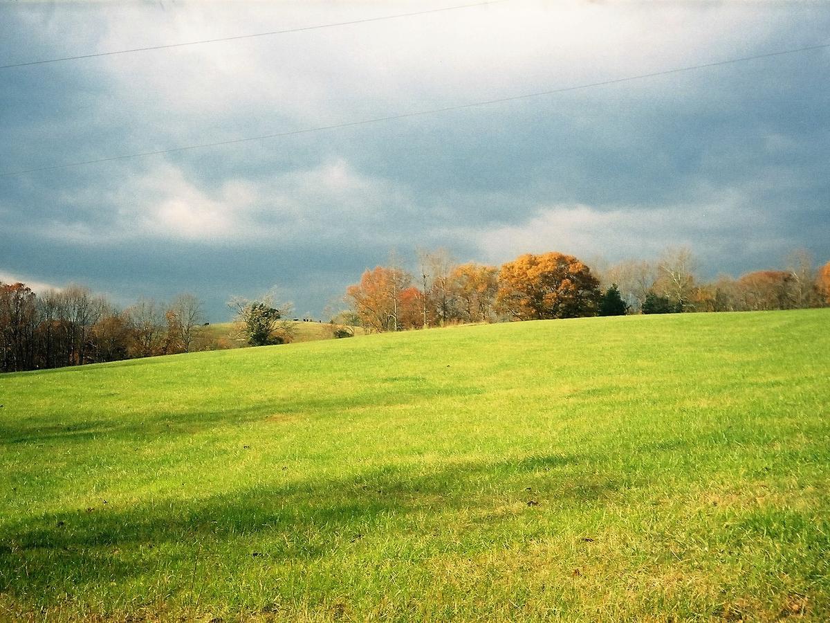 Writers Retreat Cabin - thumb 12