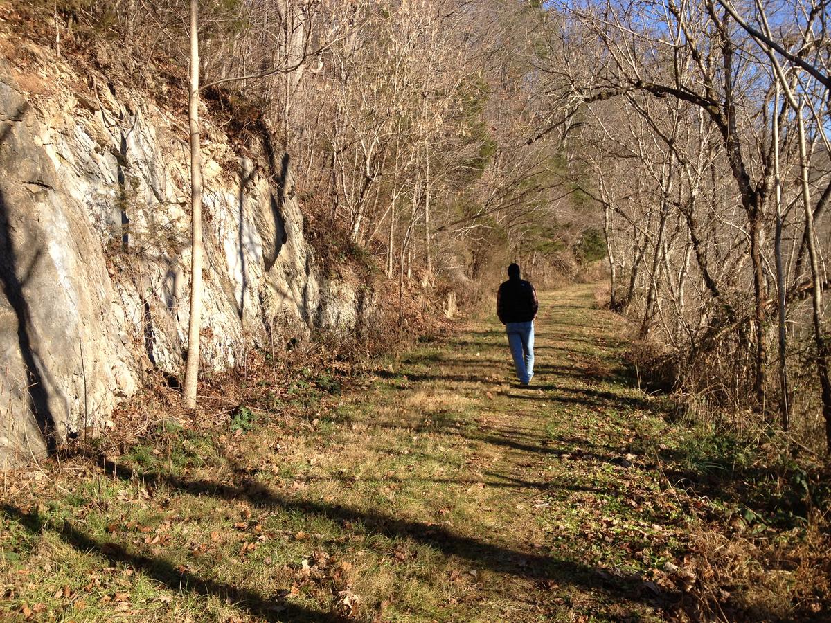 Writers Retreat Cabin - thumb 1