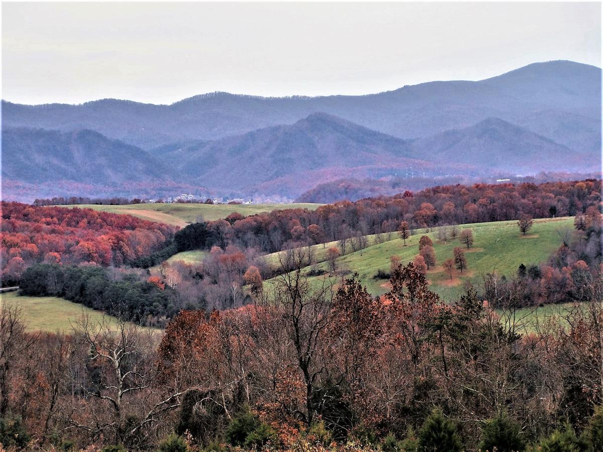 Writers Retreat Cabin - thumb 11