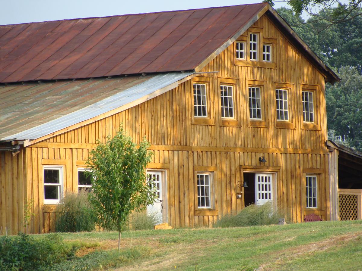 Writers Retreat Cabin - thumb 28
