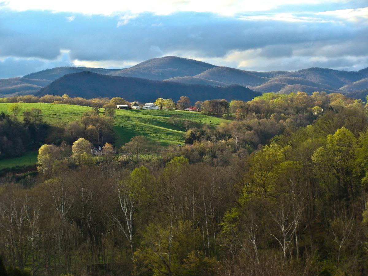 Writers Retreat Cabin - thumb 0