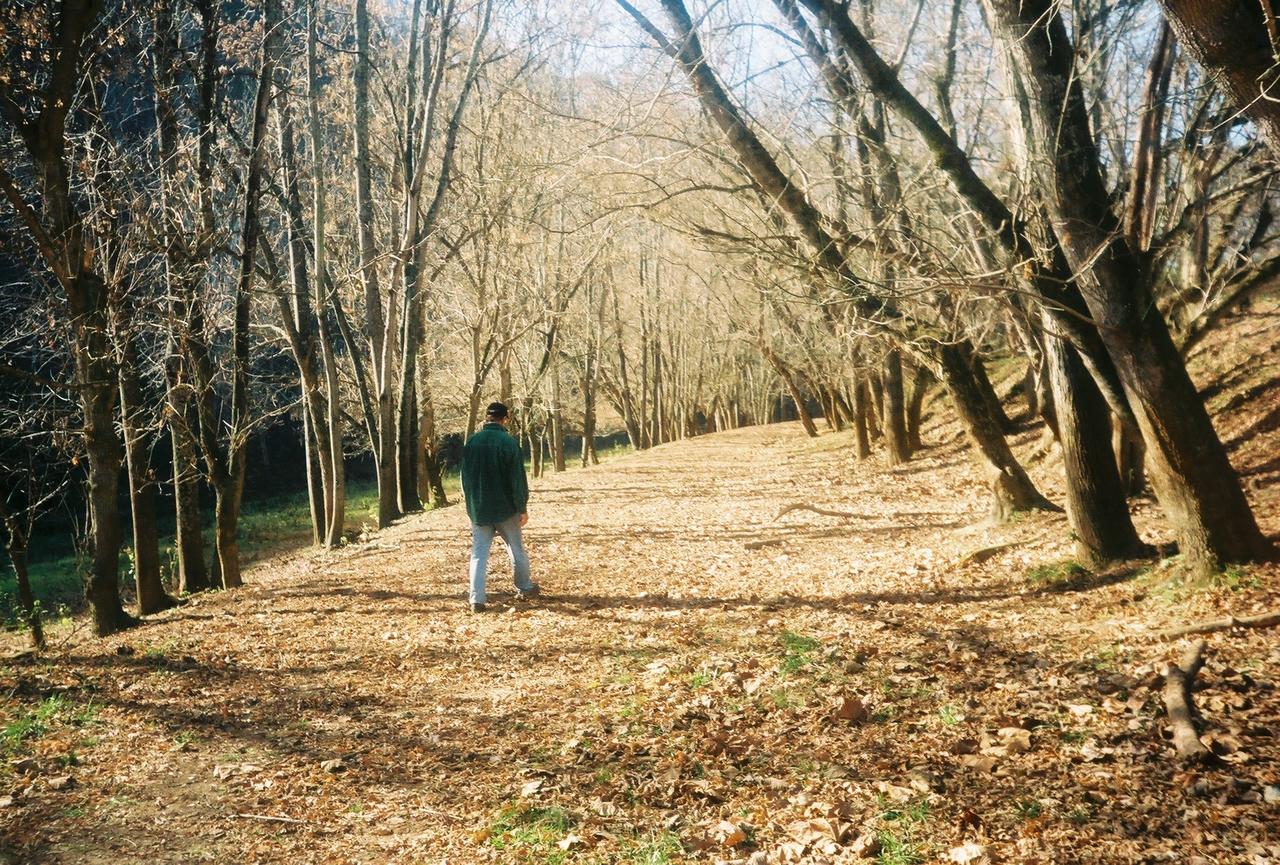 Writers Retreat Cabin - thumb 7