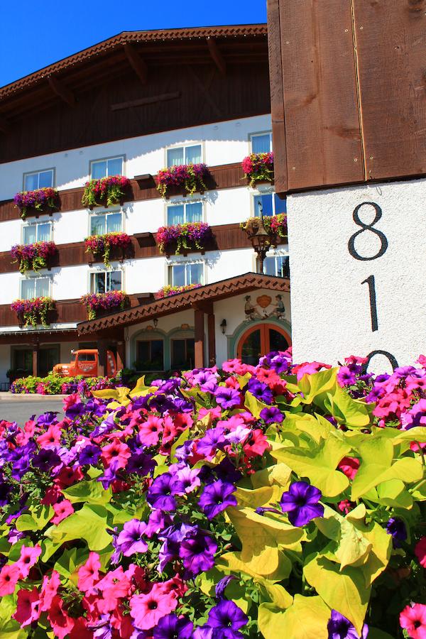 Bavarian Lodge - thumb 12