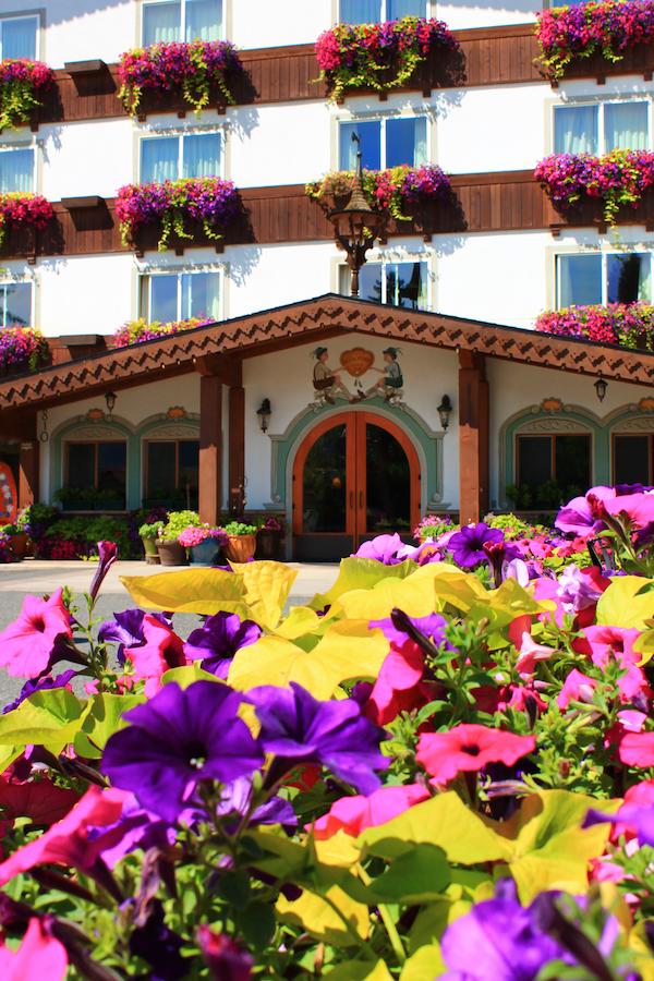 Bavarian Lodge - thumb 8