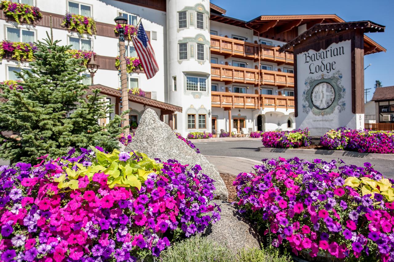 Bavarian Lodge - thumb 6