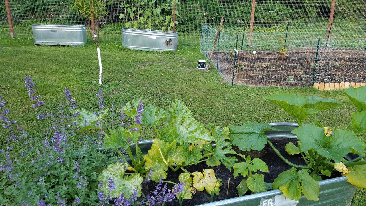 Arbor Rouge Cottage - thumb 24