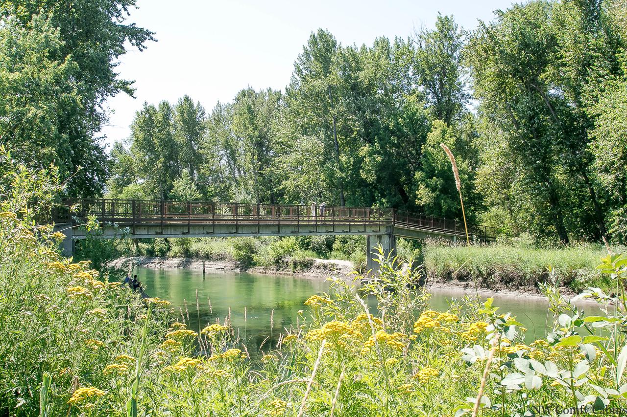 River Road Retreat - thumb 23