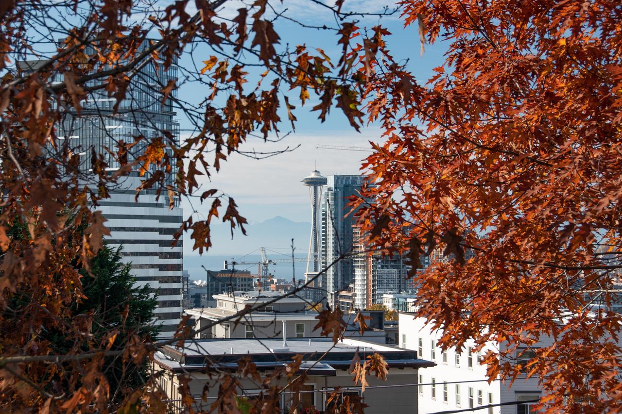 Cozy 2BR Oasis In Capitol Hill W Balcony - thumb 2