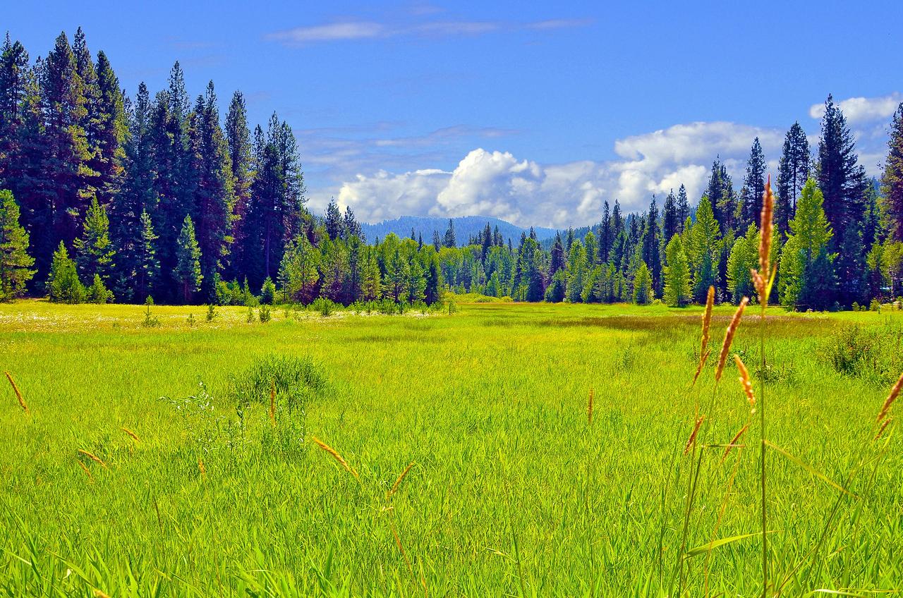 Leavenworth Camping Resort Tiny House Rudolf - thumb 14