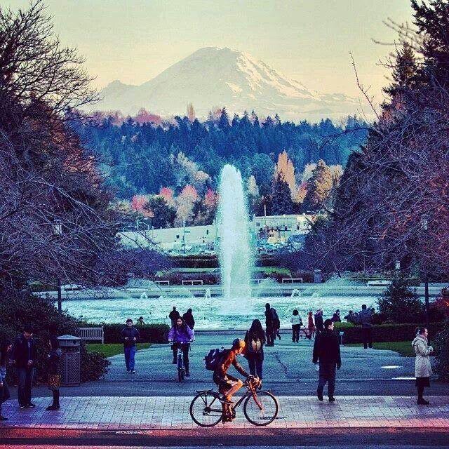 Seattle Urban Village- Rainier - thumb 4