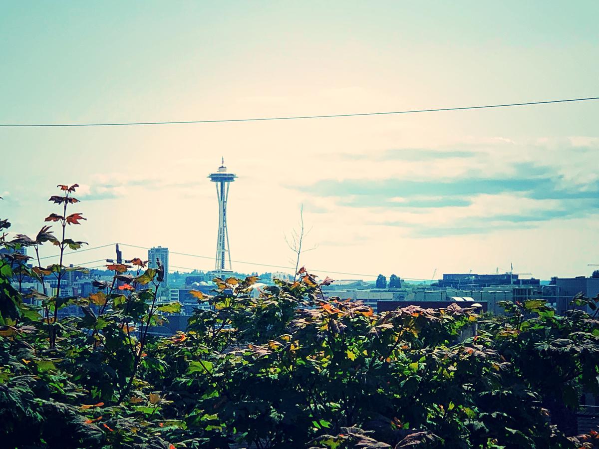 Seattle Urban Village- Rainier - thumb 8