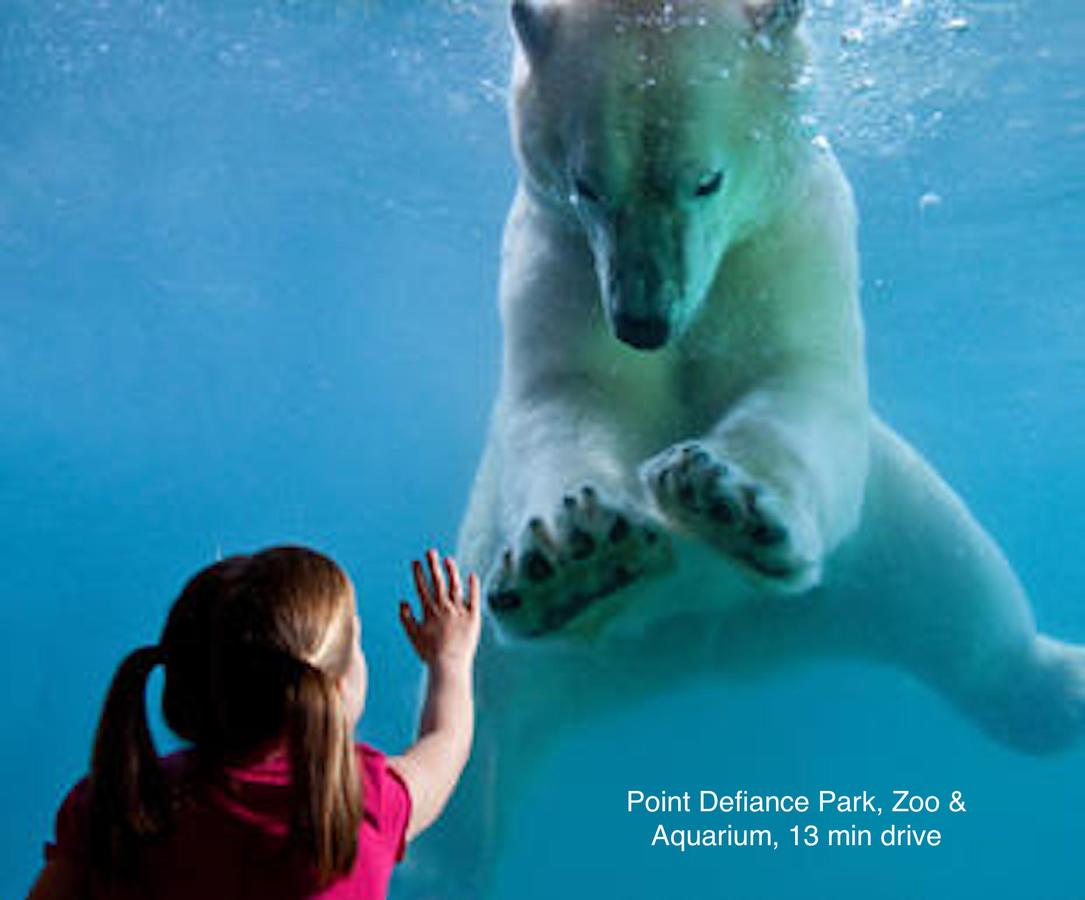 Juliet, 2 Bedroom, 1 Bathroom, Tacoma's Best Neighborhood - thumb 38