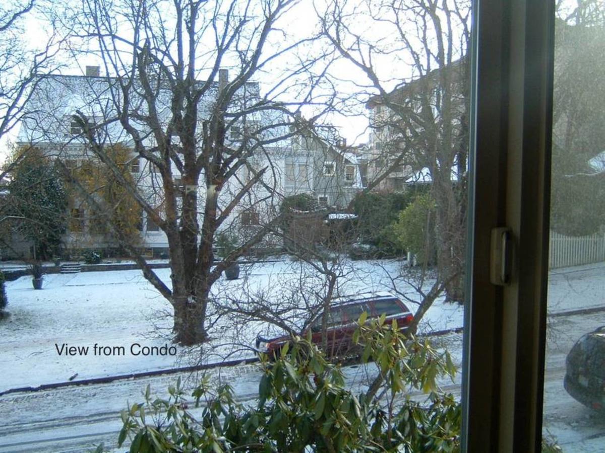 Juliet, 2 Bedroom, 1 Bathroom, Tacoma's Best Neighborhood - thumb 15