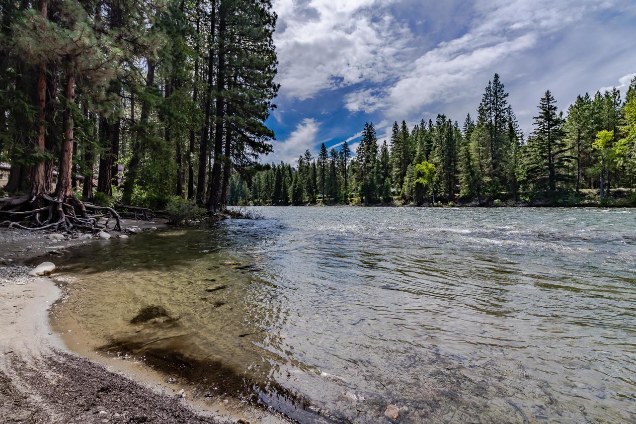 Twenty Pines - thumb 5