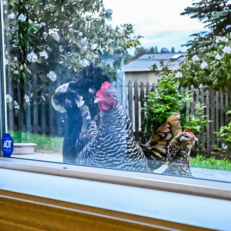 Lake Stevens Full House! Over 1K Sqft! - thumb 2