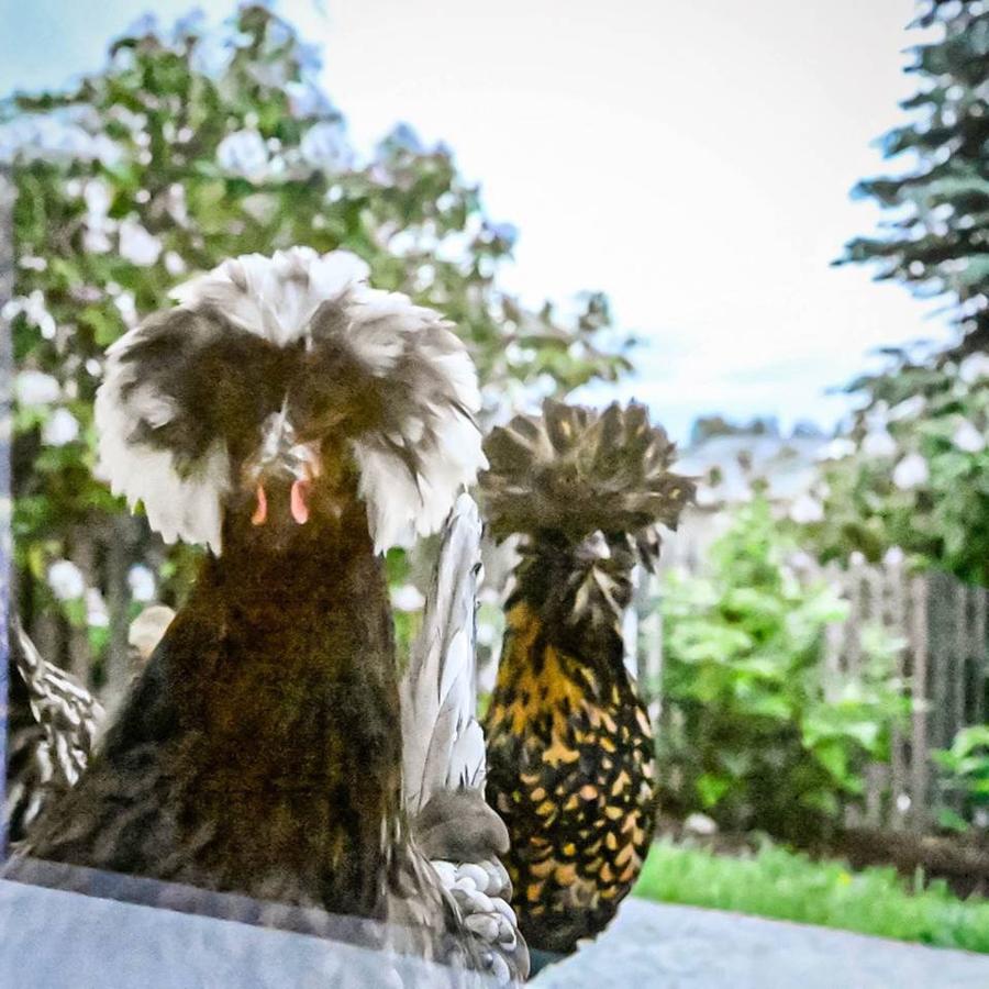 Lake Stevens Full House! Over 1K Sqft! - thumb 1