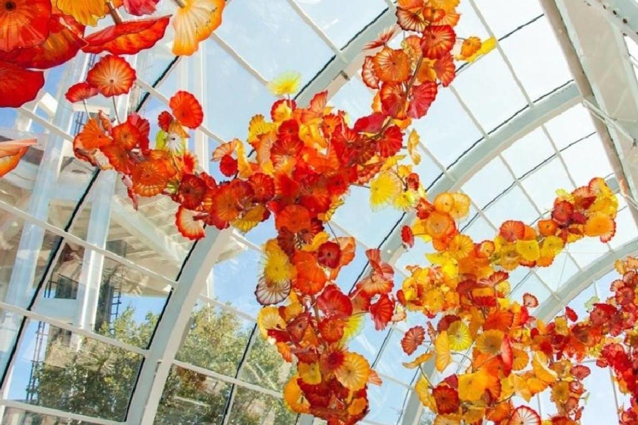 A-Seattle Urban Village- Lopez- Roof Top View Deck - thumb 8