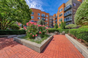 Belltown Court South