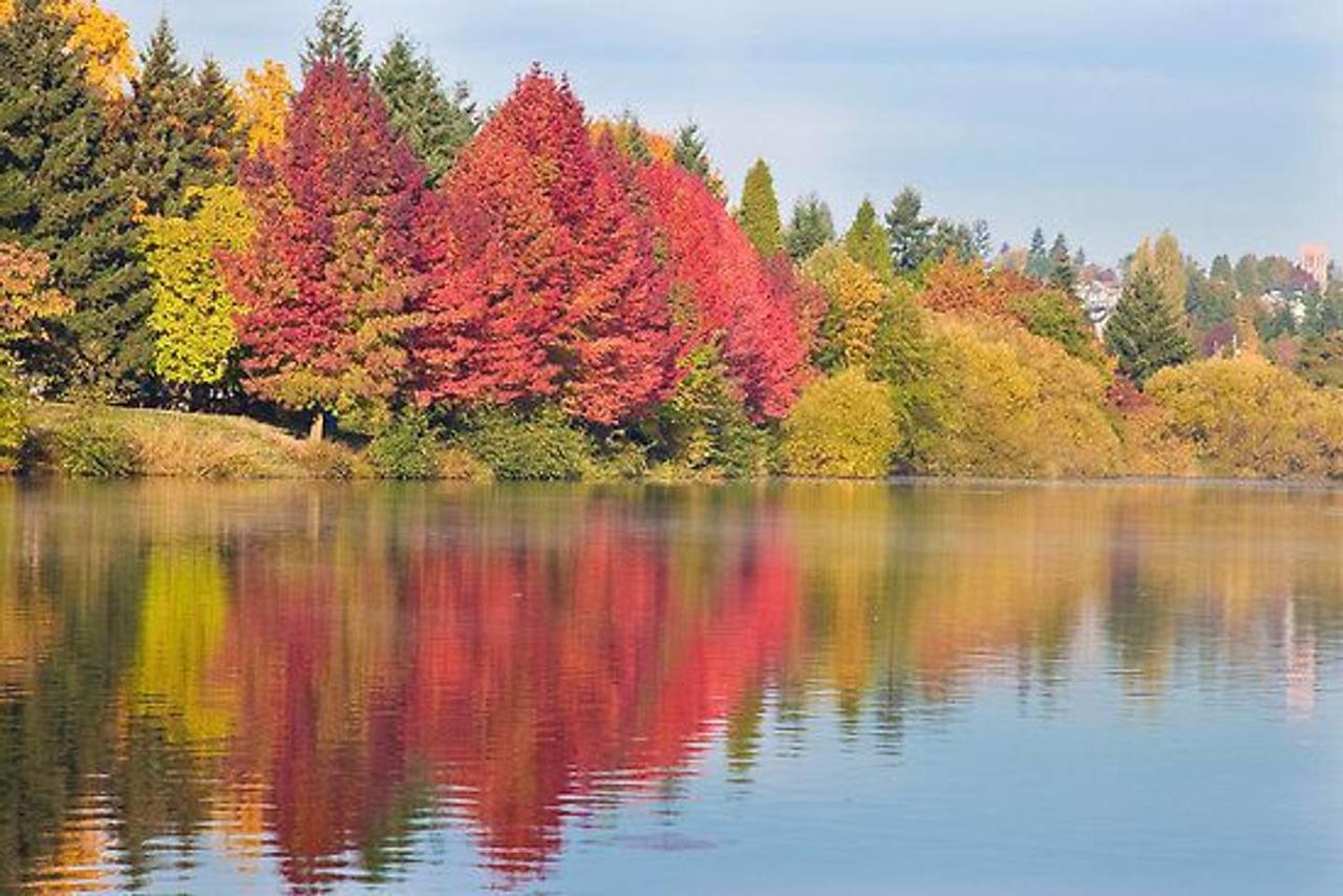 A-Greenlake Serenity-Slp4 - thumb 5