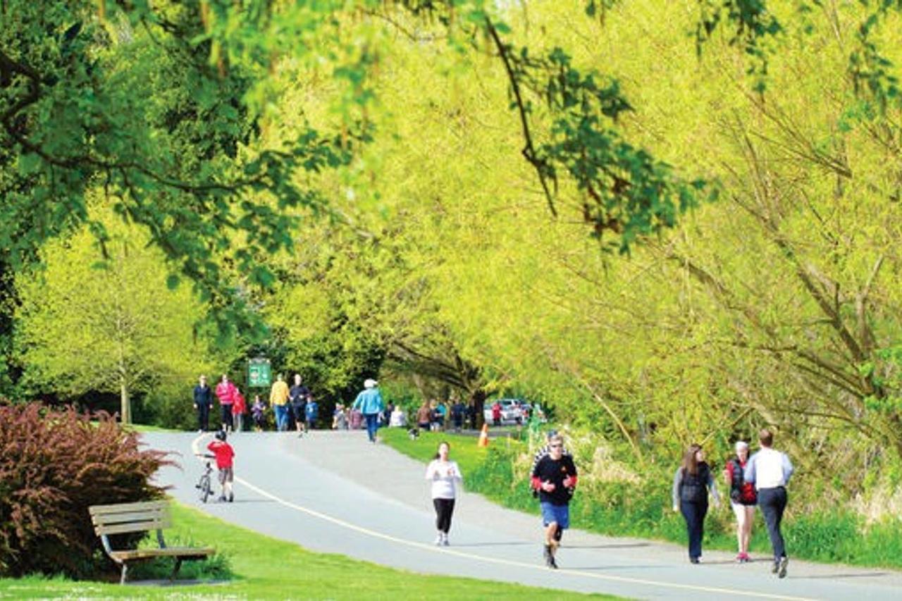 A-Greenlake Serenity-Slp4 - thumb 1